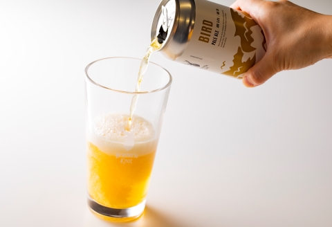 鶴居村クラフトビール Brasserie KnotのBIRD（PALE ALE）６缶セット【北海道 地ビール ご当地 ブラッスリーノット 】