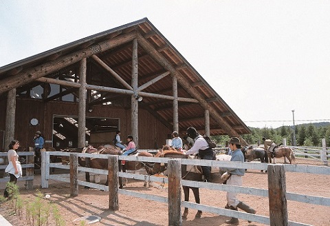鶴居どさんこ牧場　ホーストレッキング1日コース昼食付(1名様)