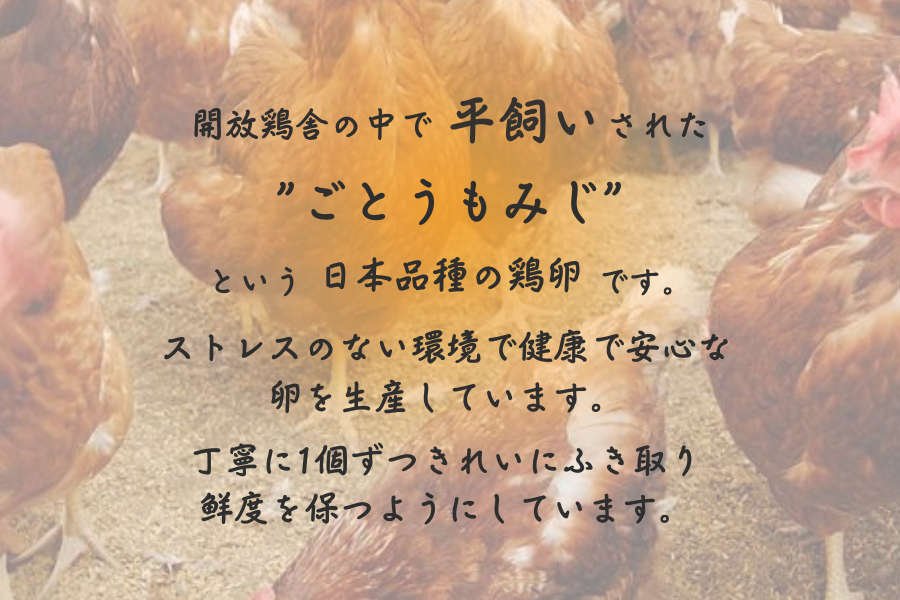 北海道 鶴居村産　卵らんハウスの心届ける　こだわり派のコッコロたまご