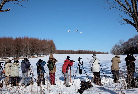 鶴居村モール温泉HOTEL TAITO宿泊券「1泊2食付　写真家和田正宏撮影ガイドプラン(1名様)」