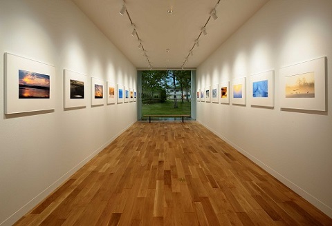 タンチョウ写真家 和田正宏 額付きオリジナルプリント「幻冬の朝」(サイン入り)