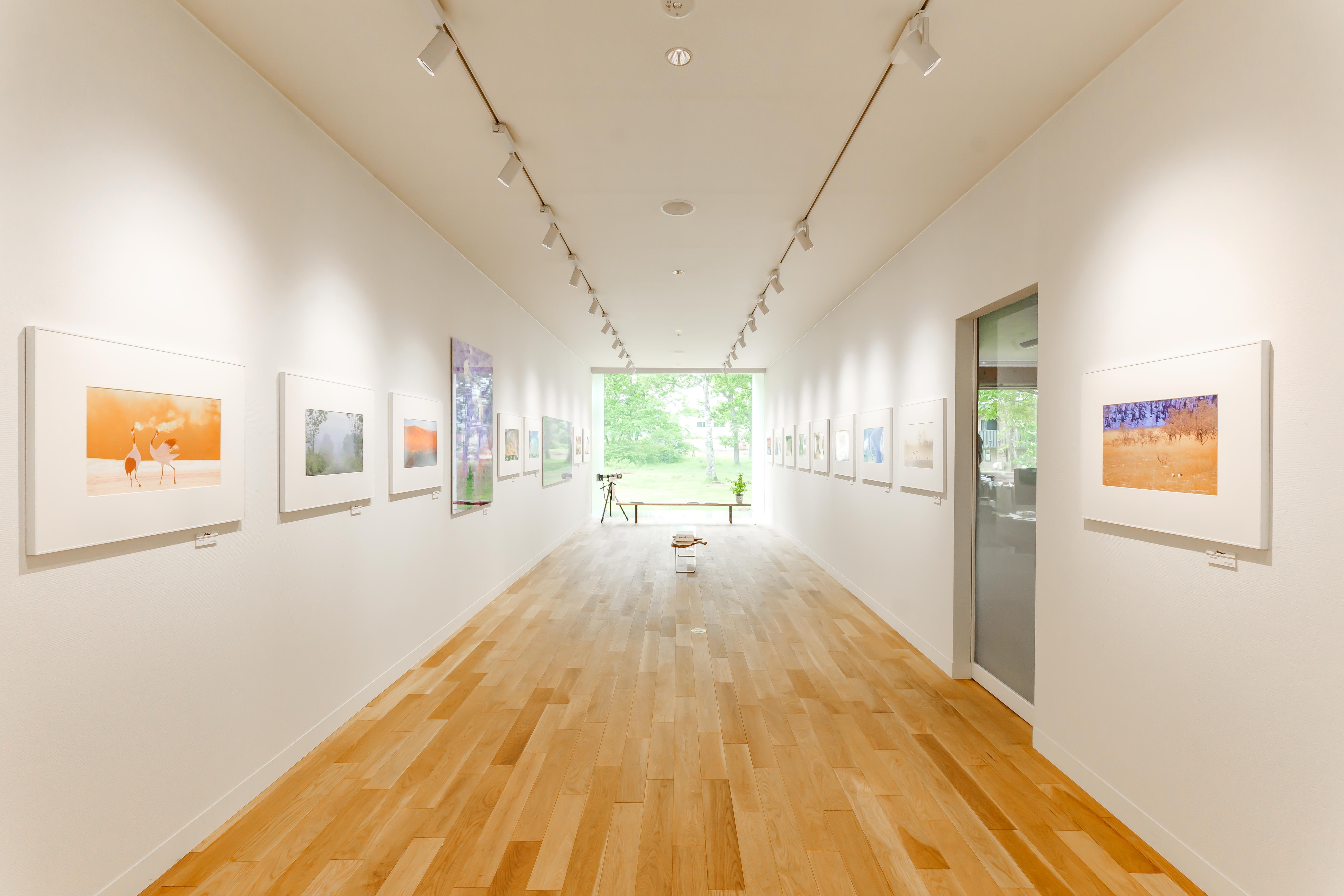 鶴居村モール温泉・HOTEL TAITO宿泊券「1泊2食付きスタンダードプラン（2名様）」