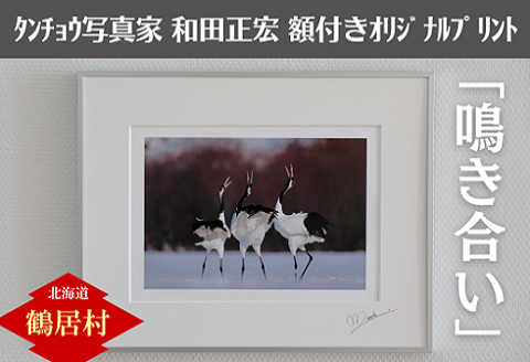 タンチョウ写真家 和田正宏 額付きオリジナルプリント「鳴き合い」(サイン入り)