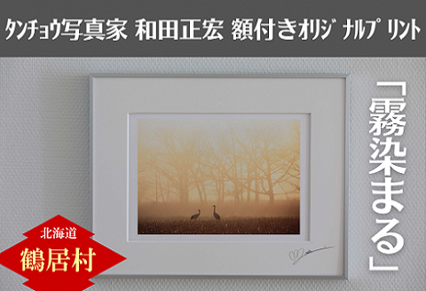 タンチョウ写真家 和田正宏 額付きオリジナルプリント「霧染まる」(サイン入り)