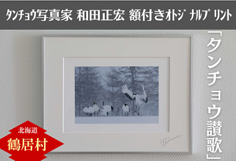 タンチョウ写真家 和田正宏 額付きオリジナルプリント「タンチョウ讃歌」(サイン入り)