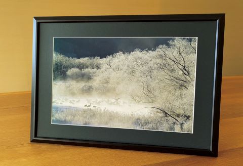 農場カメラマンが撮った鶴居村ふるさと写真シリーズ　【夜明けの川とタンチョウ】