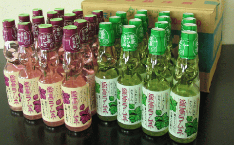 鍛高ラムネ(青・赤)【30本入り】_I013-0178