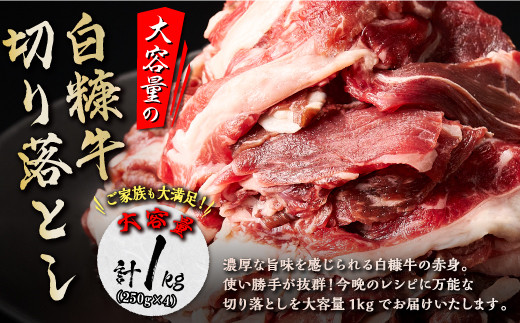 ※賞味期限2025年7月22日【訳あり】白糠牛 切り落とし【1kg（250g×4） 】_I010-1106