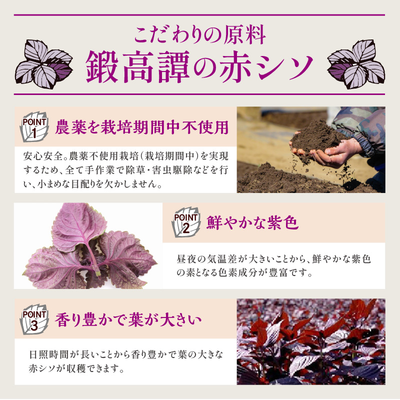 鍛高譚の梅酒[1800ml]【4本セット】_I028-0040