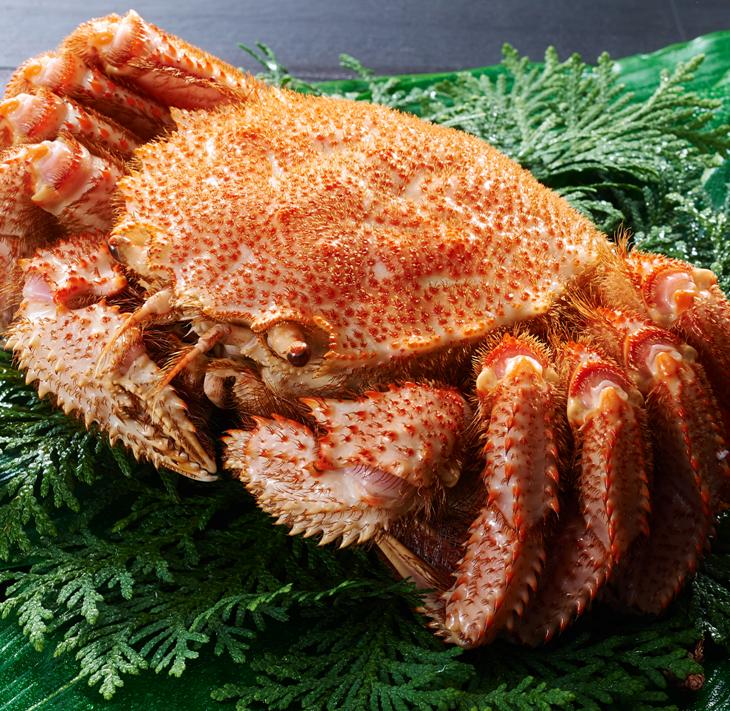 しらぬか産 CAS冷凍大サイズ毛がに【550g以上】_I070-0547