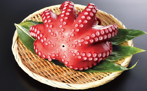 北海道旨味たこ【1.0kg以上×1杯】_I012-0508