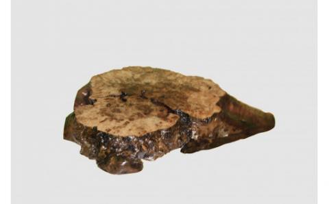 【43】座卓（テーブル）埋もれニレ・一枚天板【厚さ約5.5cm】_I050-30009268