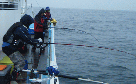 釣り人・玄人向け！チャーター船での船釣り体験【12名様まで同時利用可能】_Y340-0569