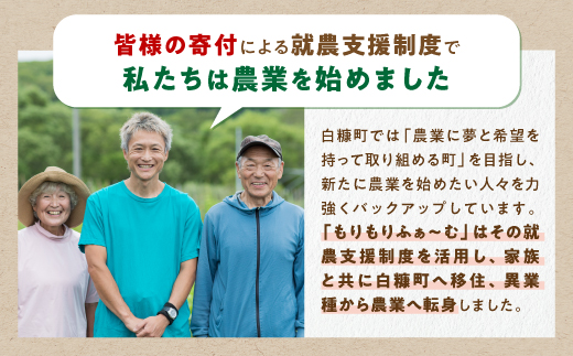 じゃがいも（さやあかね）無農薬・無肥料・自然栽培・北海道産【5kg】_I007-0481