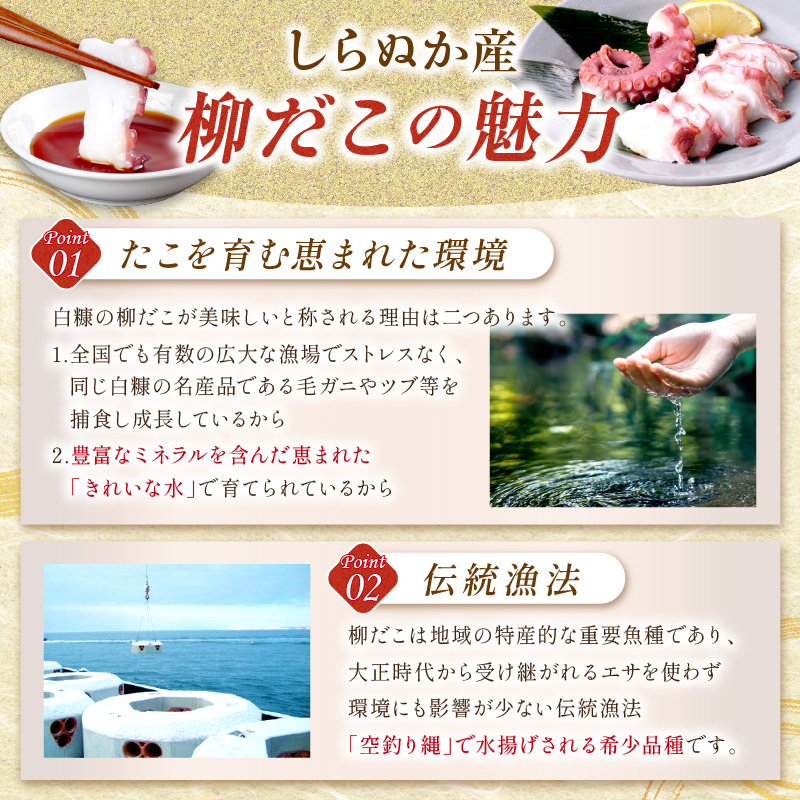 しらぬか産刺身用柳だこ【600g×2個入り】_I016-0136