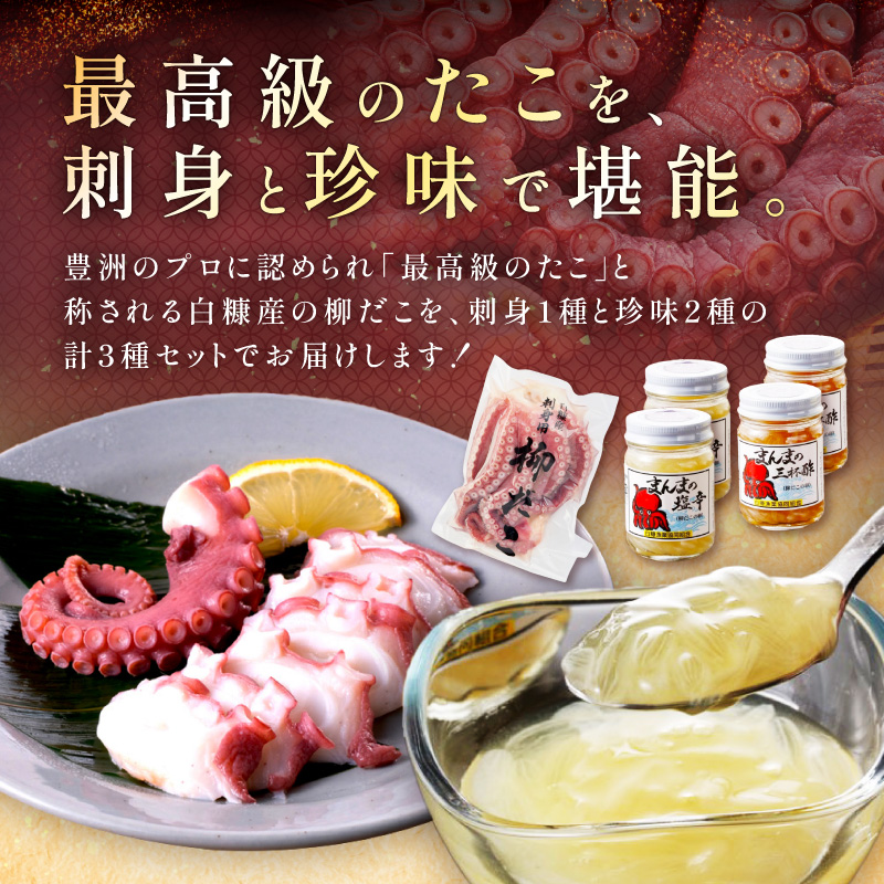 しらぬか産柳だこ(600g)と珍味(まんまの三杯酢・まんまの塩辛)の計3種セット_I017-0469