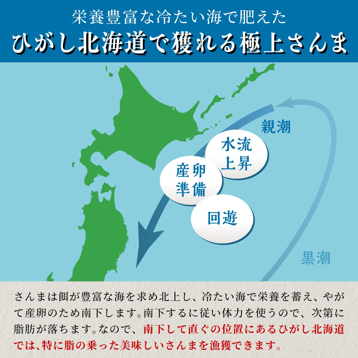 北海道産「刺身さんま」【12枚×3パック（18尾分）】_K012-1517
