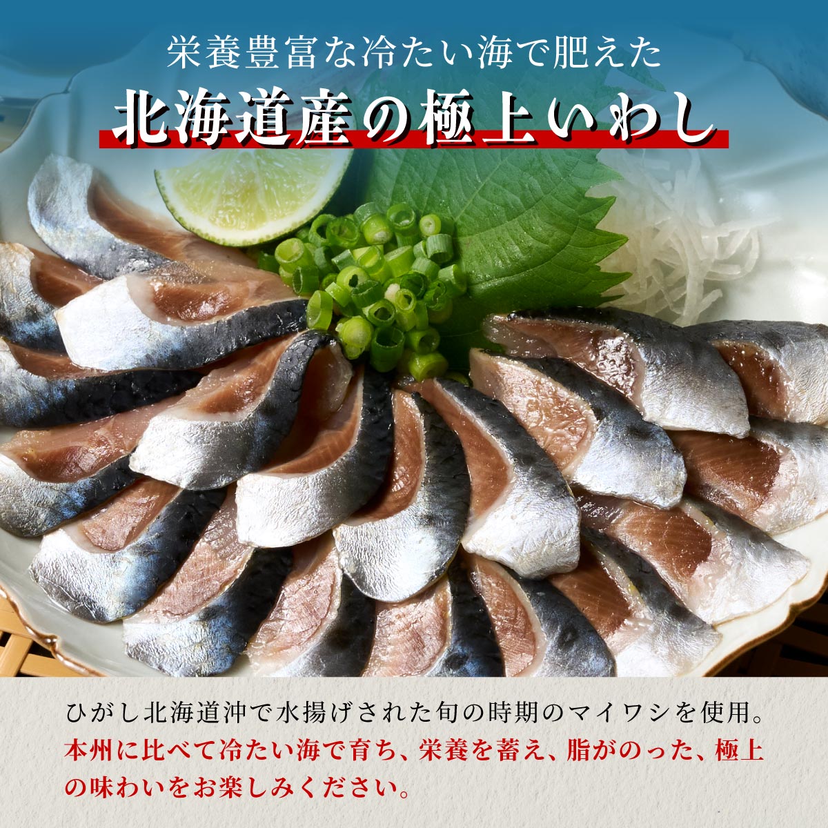 北海道産「刺身いわし」【20枚×6パック（60尾分）】_K014-1521