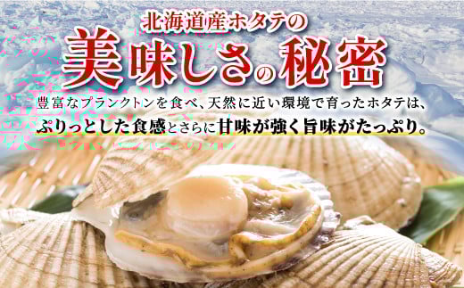 オホーツク産お刺身用ホタテ特大サイズ　 750g (250g×3) ホタテ ほたて 訳あり 大粒 訳ありほたて 訳ありホタテ ほたて貝柱 ホタテ貝柱 北海道産ほたて 北海道産ホタテ 海鮮 特大 大粒ほたて 大粒ホタテ 北海道 おすすめ 人気 ランキング 帆立 天然 ふるさと納税 冷凍ほたて 冷凍ホタテ 北海道産 国産 冷凍帆立 天然帆立 白糠町_K015-1323
