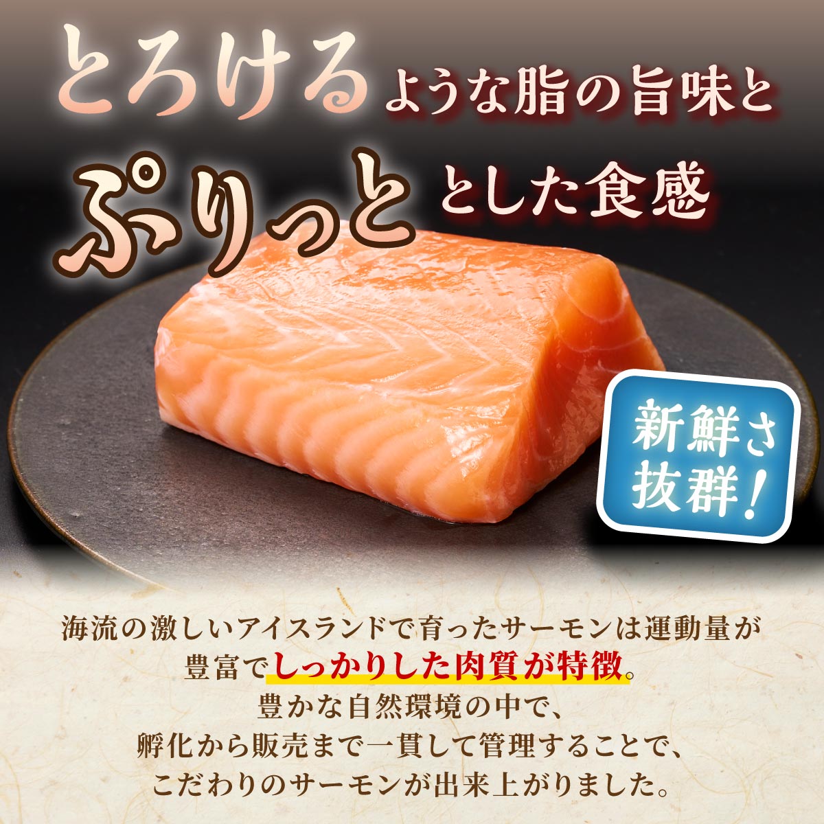 訳あり アトランティックサーモン 800g ふるさと納税 魚_T010-1420