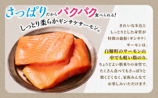 ギンサケサーモン【1kg】 小分け 下処理不要 絶品の「塩締め」レシピ ふるさと納税 海鮮 サーモン 鮭 魚 銀鮭 刺身 生食用 さけ サケ ふるさと ランキング 人気 魚介類 魚介 北海道 白糠町_T011-0905