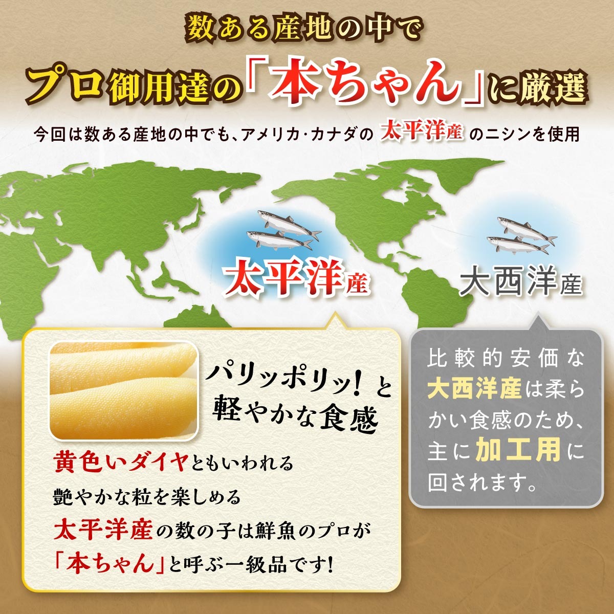 大手百貨店も扱う品質「味付け数の子【500g】」おせち お正月 数の子 かずのこ つまみ 北海道 海鮮 人気 グルメ 食べ物 魚卵 魚 魚介 北海道 白糠町_T013-0139