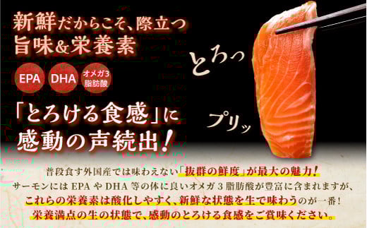 国産ワンフローズントラウトサーモン 1.6kg_T022-1479