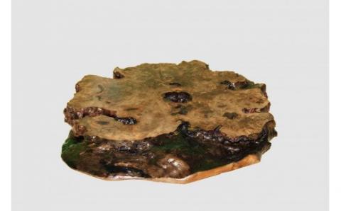 【40】座卓（テーブル）埋もれ木・一枚天板【厚さ約4.5cm】_I050-30009265