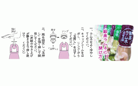 鍛高ラムネ(青・赤)【30本入り】_I013-0178