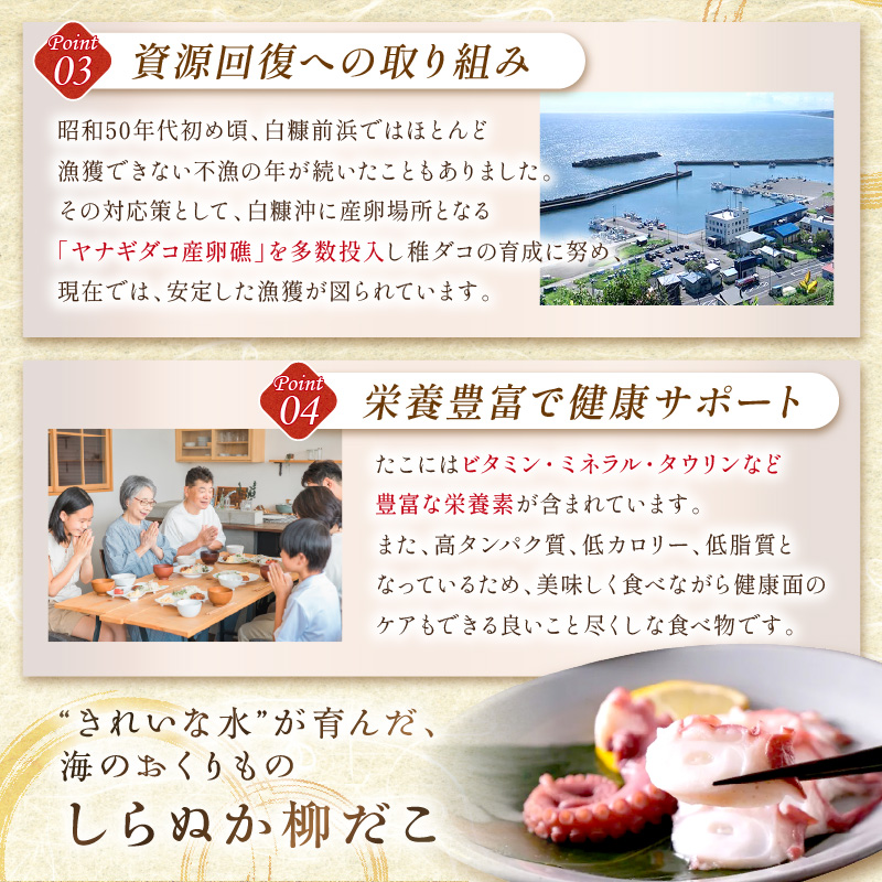 しらぬか産刺身用柳だこ【600g×2個入り】_I016-0136