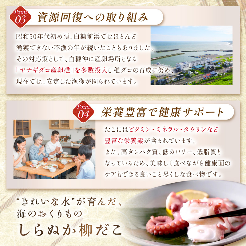 しらぬか産刺身用柳だこ【600g×2個入り】_I016-0136