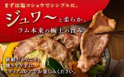焼肉用ラム肉スライス【250g×2パック、オリジナルスパイス10g】_I020-0442