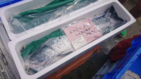 秋鮭 船上放血神経締め（オス）【3.0kg以上4.9kg以下】_I028-0725