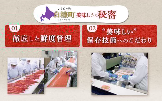 醤油漬鮭いくら 400g(200g×2パック) イクラ 小分け いくら醤油漬 鮭いくら いくら醤油漬け 鮭 鮭卵 ikura 醤油いくら 冷凍いくら いくら北海道 醤油鮭いくら 人気 大好評品 北海道 白糠町_K016-0988-2512