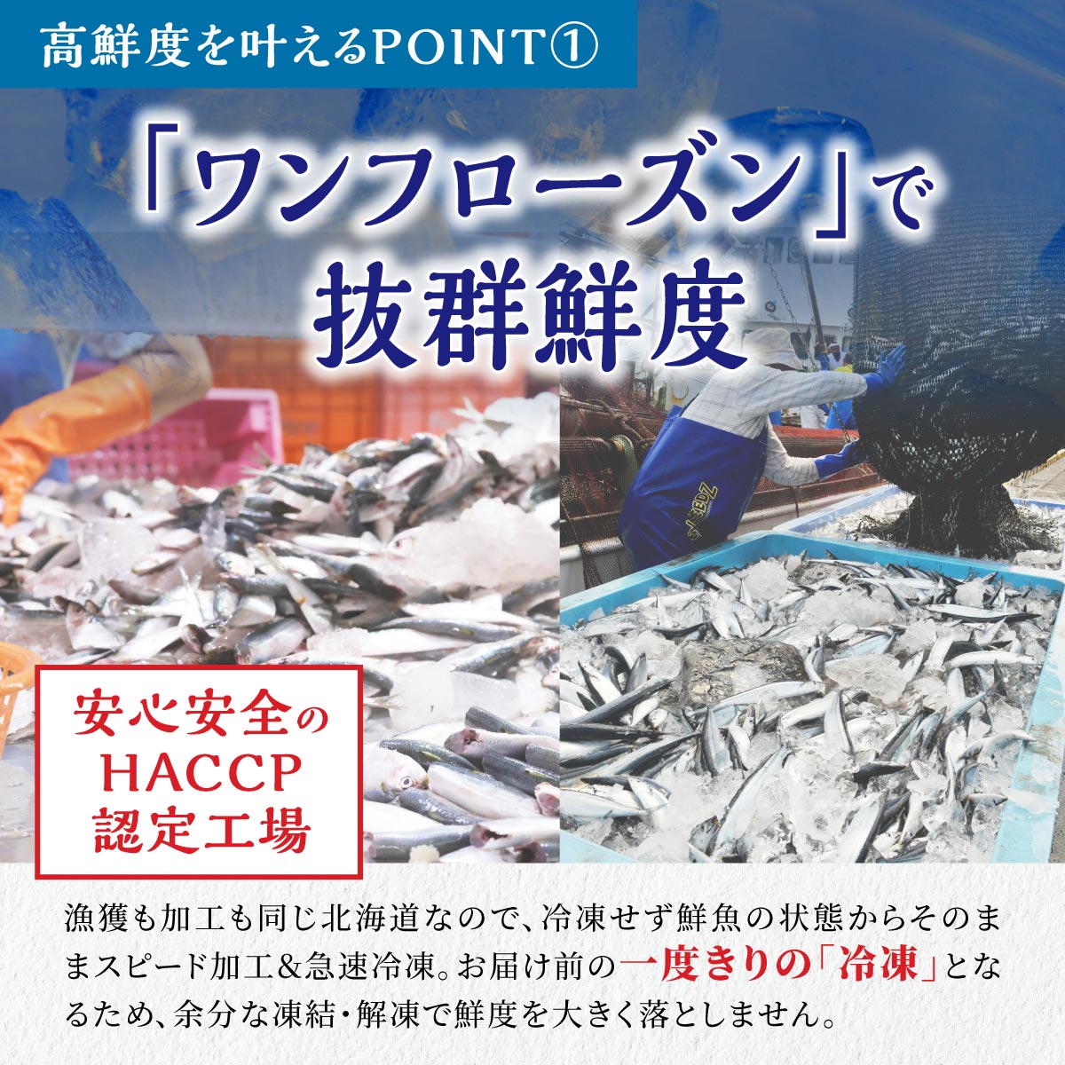 北海道産「刺身さんま」【12枚×4パック（24尾分）】_K015-1518