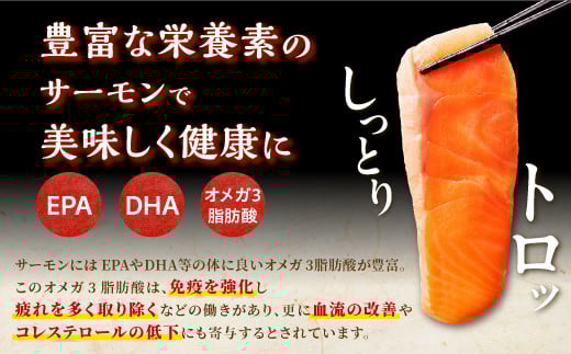 ギンサケサーモン【1kg】 小分け 下処理不要 絶品の「塩締め」レシピ ふるさと納税 海鮮 サーモン 鮭 魚 銀鮭 刺身 生食用 さけ サケ ふるさと ランキング 人気 魚介類 魚介 北海道 白糠町_T011-0905