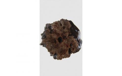 【40】座卓（テーブル）埋もれ木・一枚天板【厚さ約4.5cm】_I050-30009265