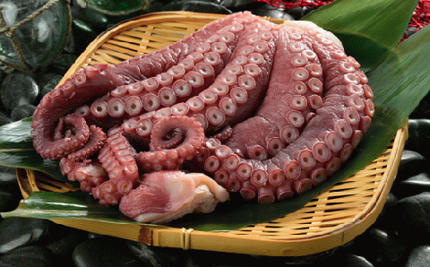 しらぬか産柳だこ(600g)と珍味(まんまの三杯酢・まんまの塩辛)の計3種セット_I017-0469