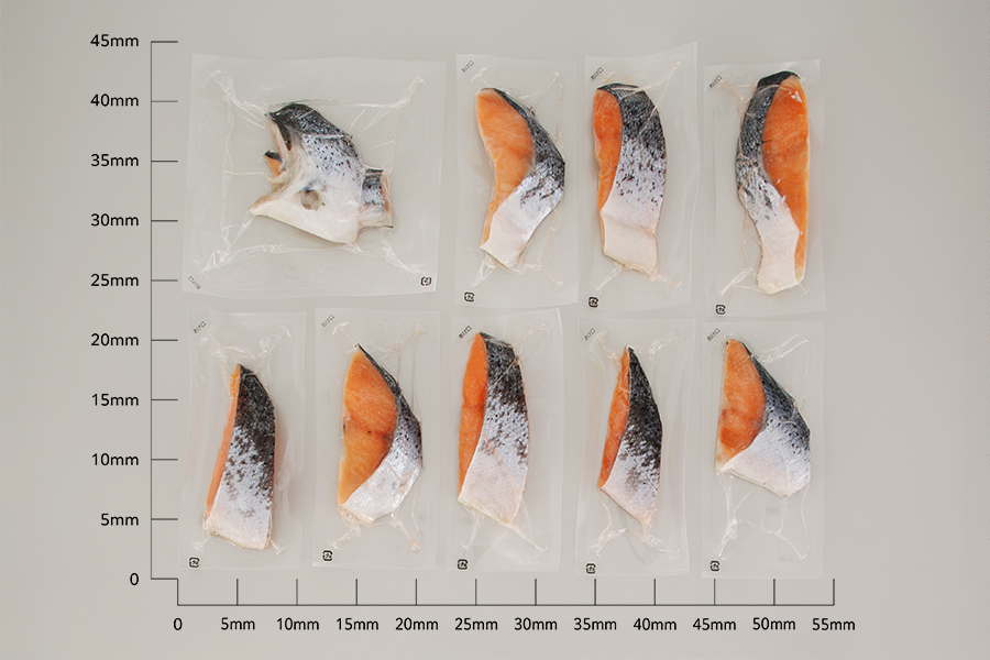 【訳あり】アトランティックサーモン 塩切身 小分け包装【1kg】_T010-1691