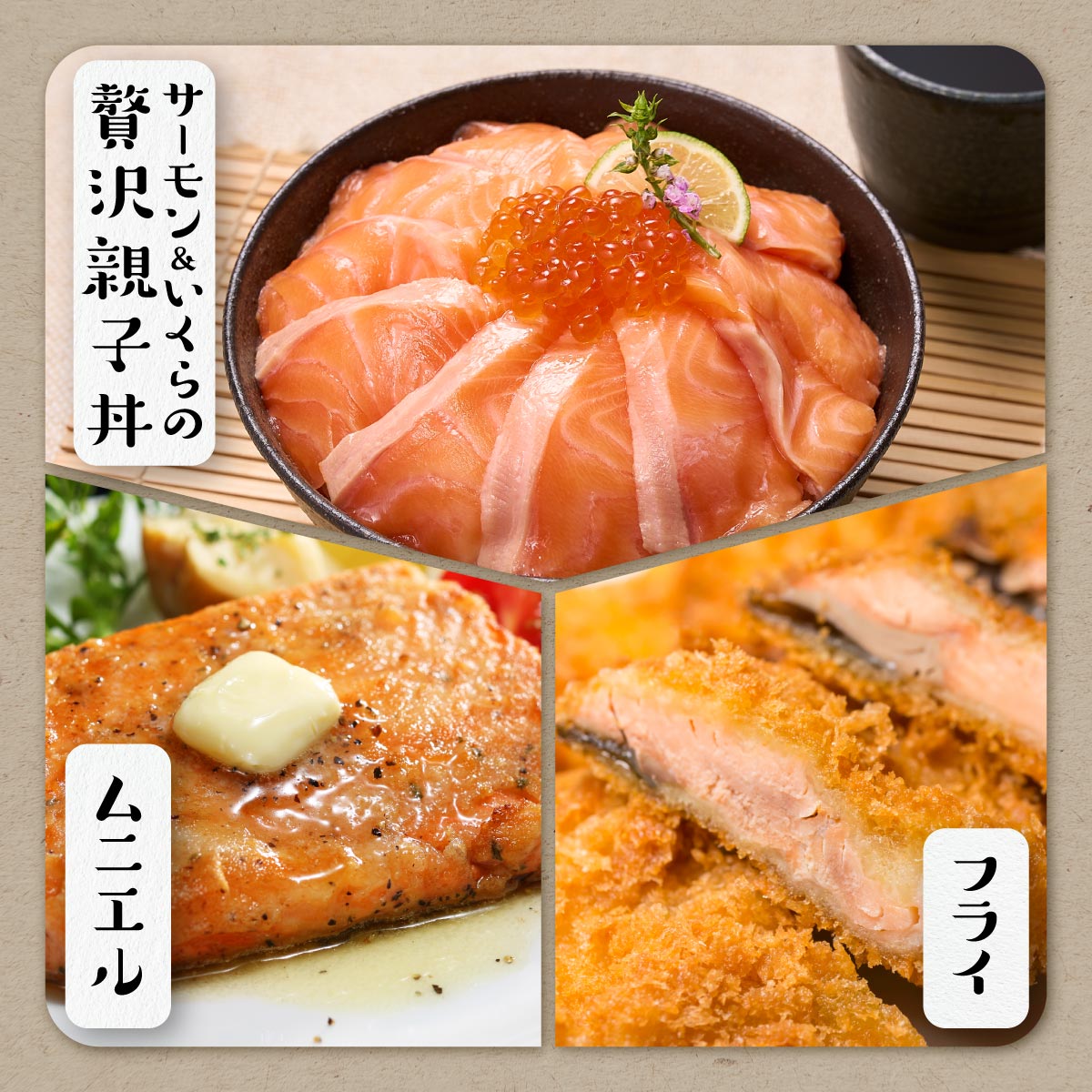 ギンサケサーモン【1kg】 小分け 下処理不要 絶品の「塩締め」レシピ ふるさと納税 海鮮 サーモン 鮭 魚 銀鮭 刺身 生食用 さけ サケ ふるさと ランキング 人気 魚介類 魚介 北海道 白糠町_T011-0905-2602