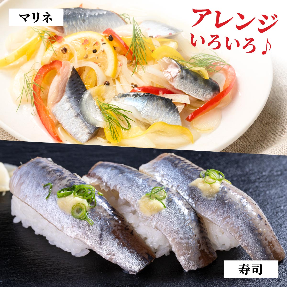 北海道産「刺身いわし」【20枚×4パック（40尾分）】_K010-1520