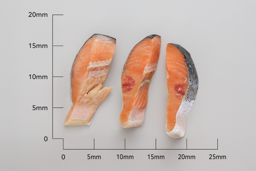 【訳あり】アトランティックサーモン 塩切身 小分け包装【1kg】_T010-1691