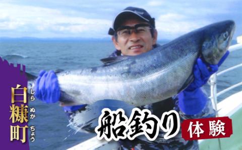 ファミリー向け船釣り体験【5名様までご利用可能 道具レンタル無料】_Y170-0568