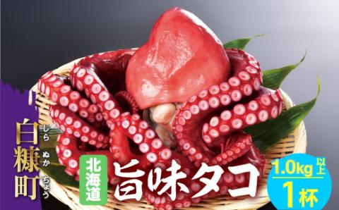 北海道旨味たこ【1.0kg以上×1杯】_I012-0508