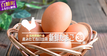 たかはしさんの新鮮たまご30個_I010-0533