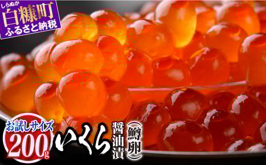 いくら醤油漬 鱒卵 200g いくら イクラ 小分け イクラ醤油漬 いくら醤油漬け イクラ醤油漬け ikura 醤油いくら 醤油イクラ 冷凍いくら 冷凍イクラ 人気いくら 人気イクラ 大人気いくら人気 ふるさと納税 北海道 白糠町_K009-1118