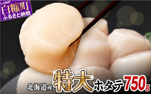 オホーツク産お刺身用ホタテ特大サイズ　 750g (250g×3) ホタテ ほたて 訳あり 大粒 訳ありほたて 訳ありホタテ ほたて貝柱 ホタテ貝柱 北海道産ほたて 北海道産ホタテ 海鮮 特大 大粒ほたて 大粒ホタテ 北海道 おすすめ 人気 ランキング 帆立 天然 ふるさと納税 冷凍ほたて 冷凍ホタテ 北海道産 国産 冷凍帆立 天然帆立 白糠町_K015-1323