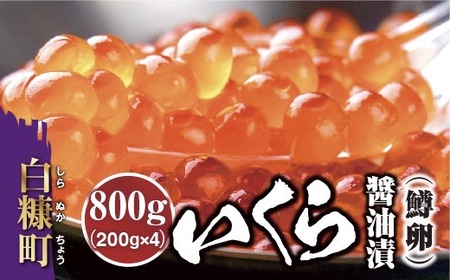 いくら醤油漬（鱒卵）【800g（200g×2パック×2箱）】_K036-0979