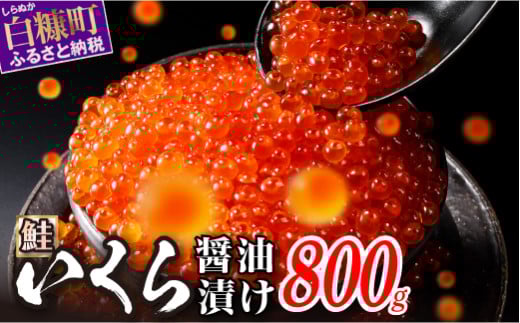 醤油漬鮭いくら 800g(200g×2パック×2箱) いくら イクラ 小分け いくら醤油漬 鮭いくら 鮭イクラ イクラ醤油漬 いくら醤油漬け イクラ醤油漬け 鮭 鮭卵 ikura いくら醤油漬 醤油いくら 醤油イクラ 冷凍いくら 冷凍イクラ いくら北海道 イクラ北海道 醤油鮭いくら 醤油鮭イクラ 人気 大好評品 サイズ さけ 北海道 白糠町_K032-0990-2512