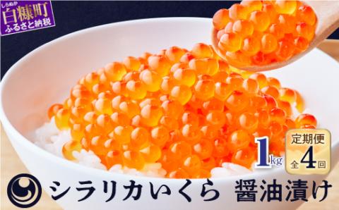 年4回！シラリカいくら(醤油味)定期便 【1kg(250g×4)×4回】_K228-1044